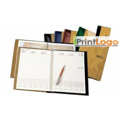 DIARIES-IGT-SV8302